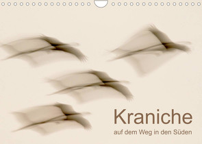 Kraniche auf dem Weg nach Süden (Wandkalender 2023 DIN A4 quer) von Wilhelm,  N.