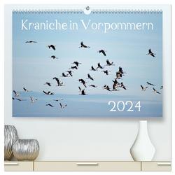 Kraniche in Vorpommern (hochwertiger Premium Wandkalender 2024 DIN A2 quer), Kunstdruck in Hochglanz von Reinhold,  Siegfried