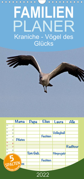 Familienplaner Kraniche – Vögel des Glücks (Wandkalender 2022 , 21 cm x 45 cm, hoch) von Weise,  Ralf