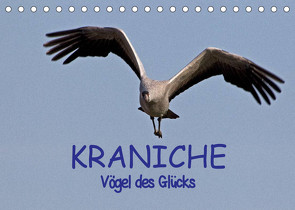 Kraniche – Vögel des Glücks (Tischkalender 2023 DIN A5 quer) von Weise,  Ralf