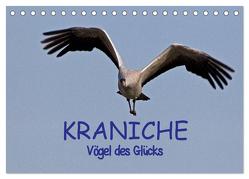 Kraniche – Vögel des Glücks (Tischkalender 2024 DIN A5 quer), CALVENDO Monatskalender von Weise,  Ralf