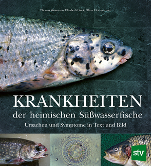 Krankheiten der heimischen Süßwasserfische von Hochwartner,  Oliver, Licek,  Elisabeth, Weismann,  Thomas