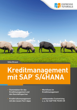 Kreditmanagement mit SAP S/4HANA von Silke,  Breest