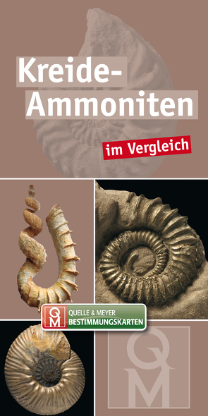Kreide-Ammoniten von Quelle & Meyer Verlag