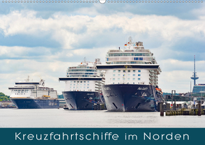 Kreuzfahrtschiffe im Norden (Wandkalender 2020 DIN A2 quer) von Kulartz,  Rainer, Plett,  Lisa