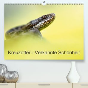 Kreuzotter – Verkannte Schönheit (Premium, hochwertiger DIN A2 Wandkalender 2020, Kunstdruck in Hochglanz) von Marth,  Thomas