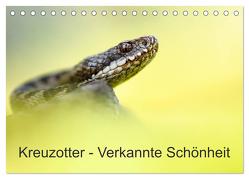 Kreuzotter – Verkannte Schönheit (Tischkalender 2024 DIN A5 quer), CALVENDO Monatskalender von Marth,  Thomas