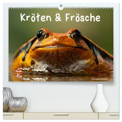 Kröten & Frösche (hochwertiger Premium Wandkalender 2024 DIN A2 quer), Kunstdruck in Hochglanz von Stanzer,  Elisabeth