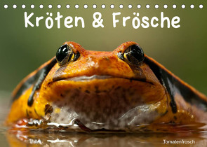 Kröten & Frösche (Tischkalender 2023 DIN A5 quer) von Stanzer,  Elisabeth