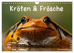 Kröten & Frösche (Wandkalender 2024 DIN A4 quer), CALVENDO Monatskalender von Stanzer,  Elisabeth