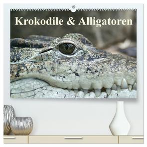 Krokodile & Alligatoren (hochwertiger Premium Wandkalender 2024 DIN A2 quer), Kunstdruck in Hochglanz von Stanzer,  Elisabeth
