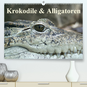 Krokodile & Alligatoren (Premium, hochwertiger DIN A2 Wandkalender 2020, Kunstdruck in Hochglanz) von Stanzer,  Elisabeth