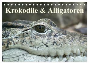 Krokodile & Alligatoren (Tischkalender 2024 DIN A5 quer), CALVENDO Monatskalender von Stanzer,  Elisabeth