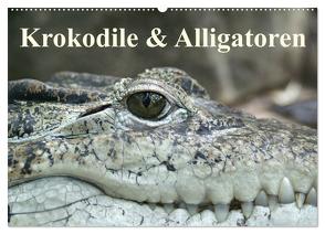 Krokodile & Alligatoren (Wandkalender 2024 DIN A2 quer), CALVENDO Monatskalender von Stanzer,  Elisabeth