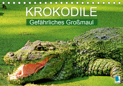 Krokodile: Gefährliches Großmaul (Tischkalender 2021 DIN A5 quer) von CALVENDO