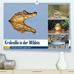 Krokodile in der Wildnis (Premium, hochwertiger DIN A2 Wandkalender 2020, Kunstdruck in Hochglanz) von und Michael Herzog,  Yvonne