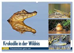 Krokodile in der Wildnis (Wandkalender 2024 DIN A2 quer), CALVENDO Monatskalender von und Michael Herzog,  Yvonne