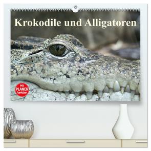 Krokodile und Alligatoren (hochwertiger Premium Wandkalender 2024 DIN A2 quer), Kunstdruck in Hochglanz von Stanzer,  Elisabeth