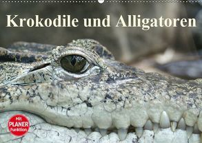 Krokodile und Alligatoren (Wandkalender 2019 DIN A2 quer) von Stanzer,  Elisabeth