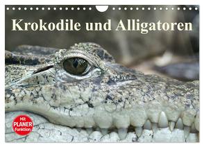 Krokodile und Alligatoren (Wandkalender 2024 DIN A4 quer), CALVENDO Monatskalender von Stanzer,  Elisabeth