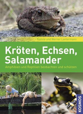 Kröten, Echsen, Salamander von Lantermann,  Werner, Lantermann,  Yvonne