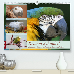 Krumm Schnäbel – Papageien, Sittiche und andere Krumm Schnäbel (Premium, hochwertiger DIN A2 Wandkalender 2021, Kunstdruck in Hochglanz) von Mielewczyk,  Barbara