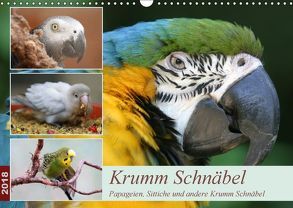 Krumm Schnäbel – Papageien, Sittiche und andere Krumm Schnäbel (Wandkalender 2018 DIN A3 quer) von Mielewczyk,  Barbara