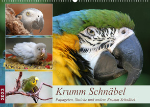 Krumm Schnäbel – Papageien, Sittiche und andere Krumm Schnäbel (Wandkalender 2023 DIN A2 quer) von Mielewczyk,  Barbara