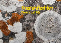 Krustenflechten – Pioniere auf Fels (Tischkalender 2023 DIN A5 quer) von focusnatura.at