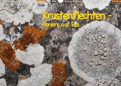 Krustenflechten – Pioniere auf Fels (Wandkalender 2023 DIN A3 quer) von focusnatura.at