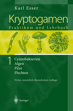 Kryptogamen 1 von Esser,  K., Esser,  Karl, Graw,  D., Prillinger,  H., Rathke,  H.-J., Söngen,  H., Stahl,  U.