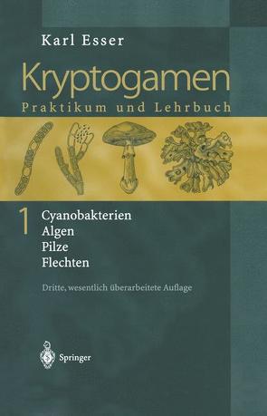 Kryptogamen 1 von Esser,  K., Esser,  Karl, Graw,  D., Prillinger,  H., Rathke,  H.-J., Söngen,  H., Stahl,  U.
