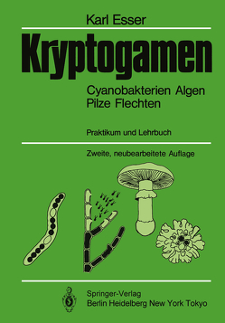 Kryptogamen von Esser,  Karl, Graw,  D., Prillinger,  H., Rathke,  H.-J., Söngen,  H., Stahl,  U.