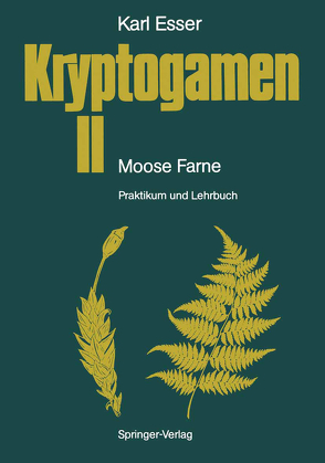 Kryptogamen II Moose · Farne von Esser,  Karl, Kämper,  J., Rathke,  H.-J.