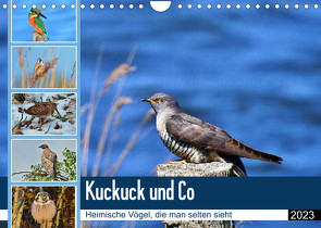 Kuckuck und Co – Heimische Vögel, die man selten sieht – Jahresplaner 2023 (Wandkalender 2023 DIN A4 quer) von Schaack,  René