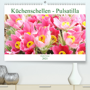 Küchenschellen Pulsatilla (Premium, hochwertiger DIN A2 Wandkalender 2021, Kunstdruck in Hochglanz) von Kruse,  Gisela