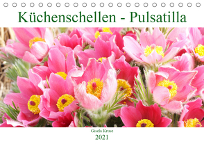 Küchenschellen Pulsatilla (Tischkalender 2021 DIN A5 quer) von Kruse,  Gisela