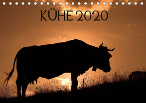 Kühe 2020 (Tischkalender 2020 DIN A5 quer) von Ruiz del Olmo,  Jorge