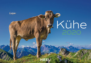 Kühe 2020