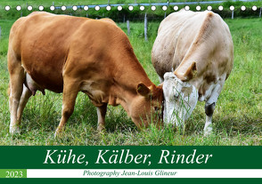 Kühe, Kälber, Rinder (Tischkalender 2023 DIN A5 quer) von Glineur / DeVerviers,  Jean-Louis