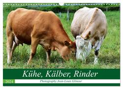 Kühe, Kälber, Rinder (Wandkalender 2024 DIN A3 quer), CALVENDO Monatskalender von Glineur / DeVerviers,  Jean-Louis