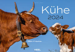 Kühe Kalender 2024 von KLEIN