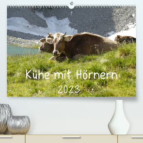Kühe mit Hörnern (Premium, hochwertiger DIN A2 Wandkalender 2023, Kunstdruck in Hochglanz) von Goldscheider,  Stefanie