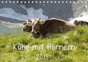 Kühe mit Hörnern (Tischkalender 2019 DIN A5 quer) von Goldscheider,  Stefanie