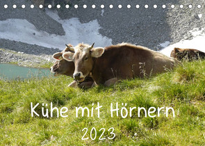 Kühe mit Hörnern (Tischkalender 2023 DIN A5 quer) von Goldscheider,  Stefanie