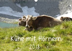 Kühe mit Hörnern (Wandkalender 2018 DIN A3 quer) von Goldscheider,  Stefanie