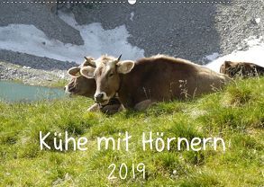 Kühe mit Hörnern (Wandkalender 2019 DIN A2 quer) von Goldscheider,  Stefanie