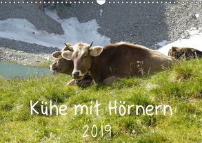 Kühe mit Hörnern (Wandkalender 2019 DIN A3 quer) von Goldscheider,  Stefanie