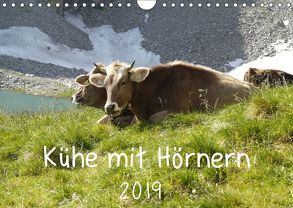 Kühe mit Hörnern (Wandkalender 2019 DIN A4 quer) von Goldscheider,  Stefanie