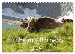 Kühe mit Hörnern (Wandkalender 2024 DIN A3 quer), CALVENDO Monatskalender von Goldscheider,  Stefanie